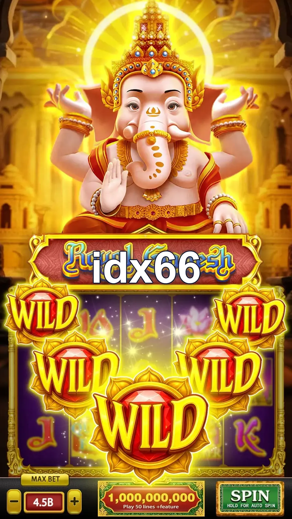 idx66 Masuk